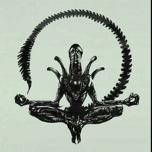 Meet your Posher, Gabriel